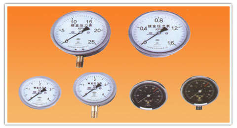 YE-160(Z)，106(Z)，75(Z)係(xi)列膜(mo)盒壓力錶